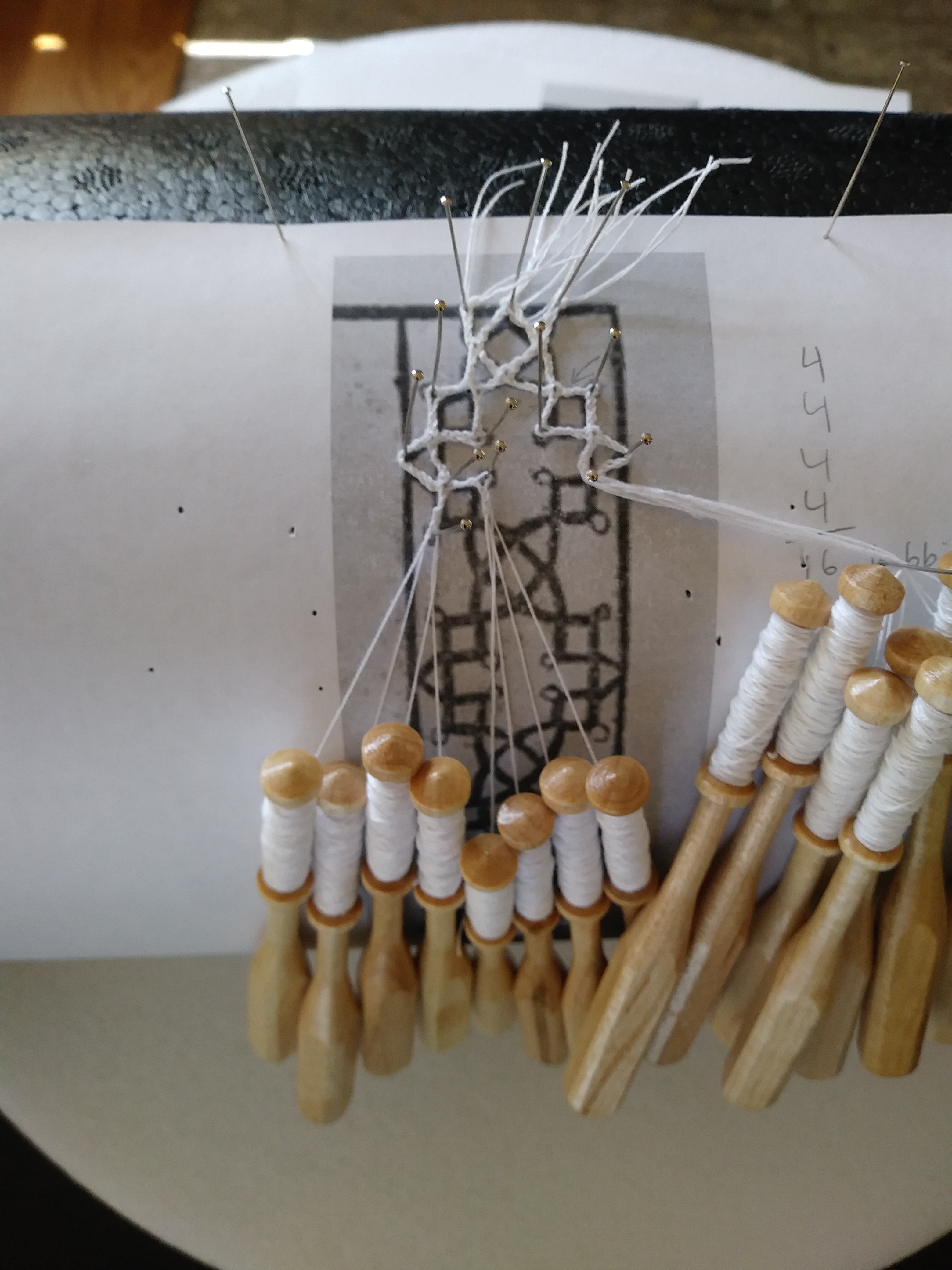 2018-08-19 11.05.25.jpg