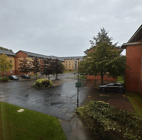 Screen Shot 2019-09-27 at 10.18.50 AM