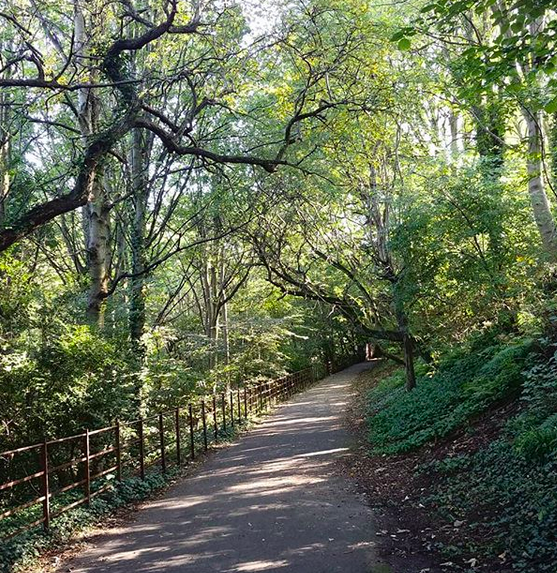 Screen Shot 2019-09-27 at 10.25.54 AM