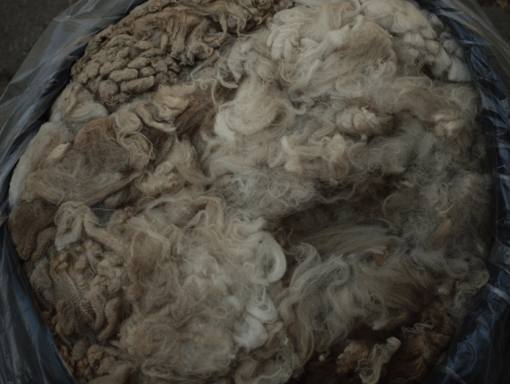 Screen Shot 2020-07-17 at 4.04.05 PM